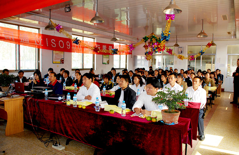 恭贺我司通过ISO9001质量体系认证