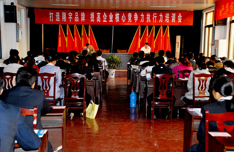 打造翔宇品牌 提高企业核心竞争力执行力培训会