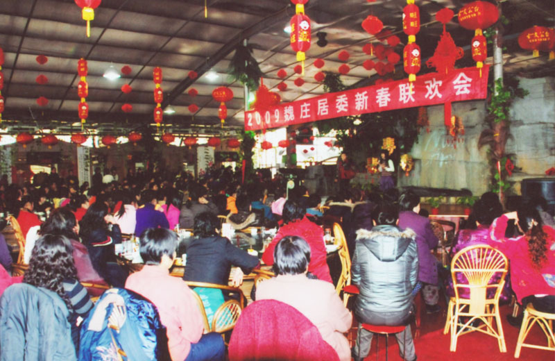 2009魏庄新春联欢会